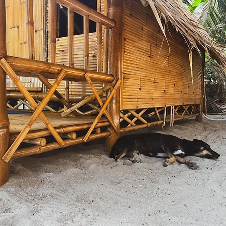 Echo Beach Hostel Baan Tai Exterior foto