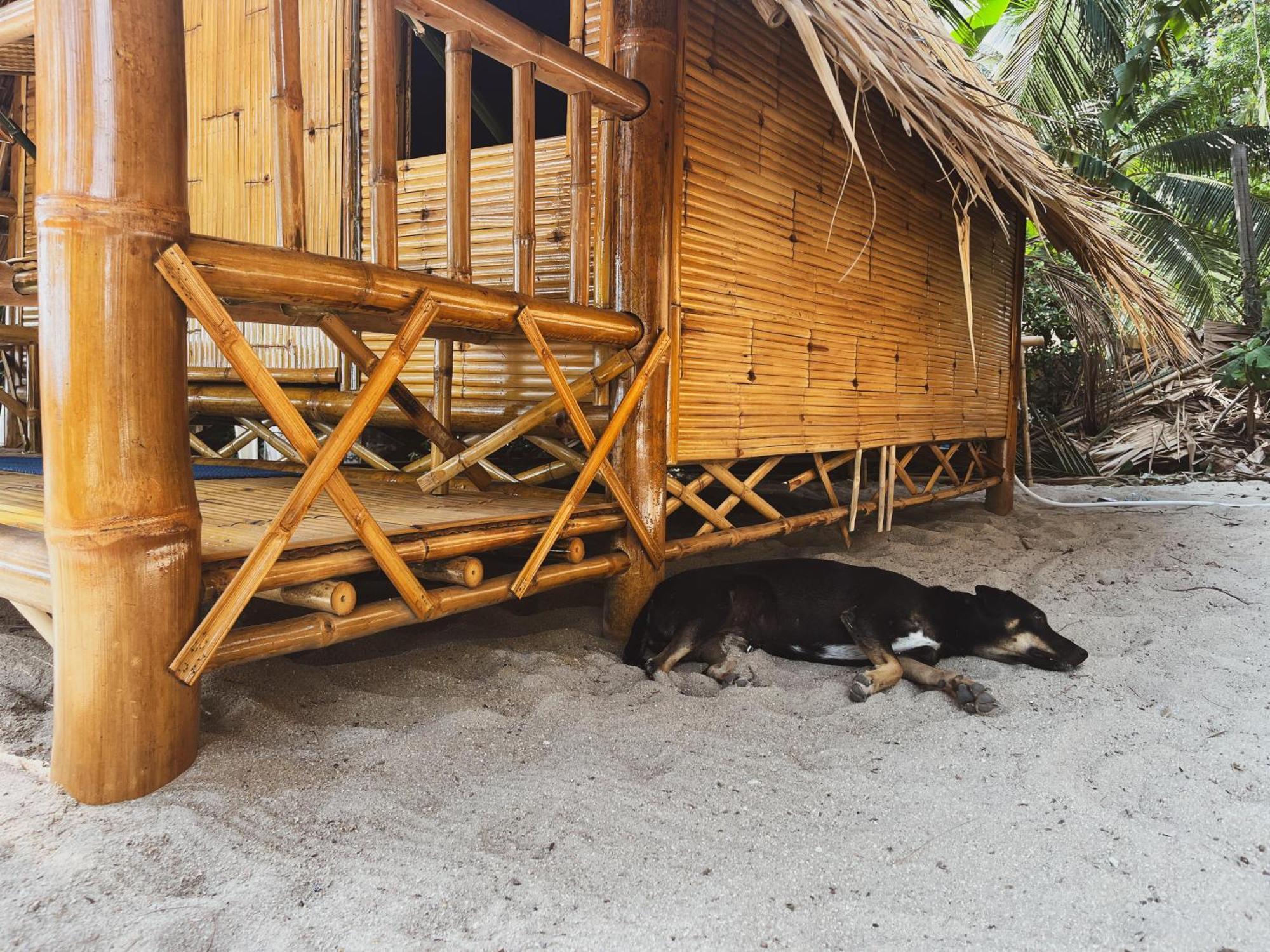Echo Beach Hostel Baan Tai Exterior foto